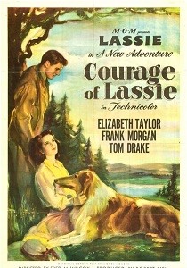 Храбрость Лесси (1946)